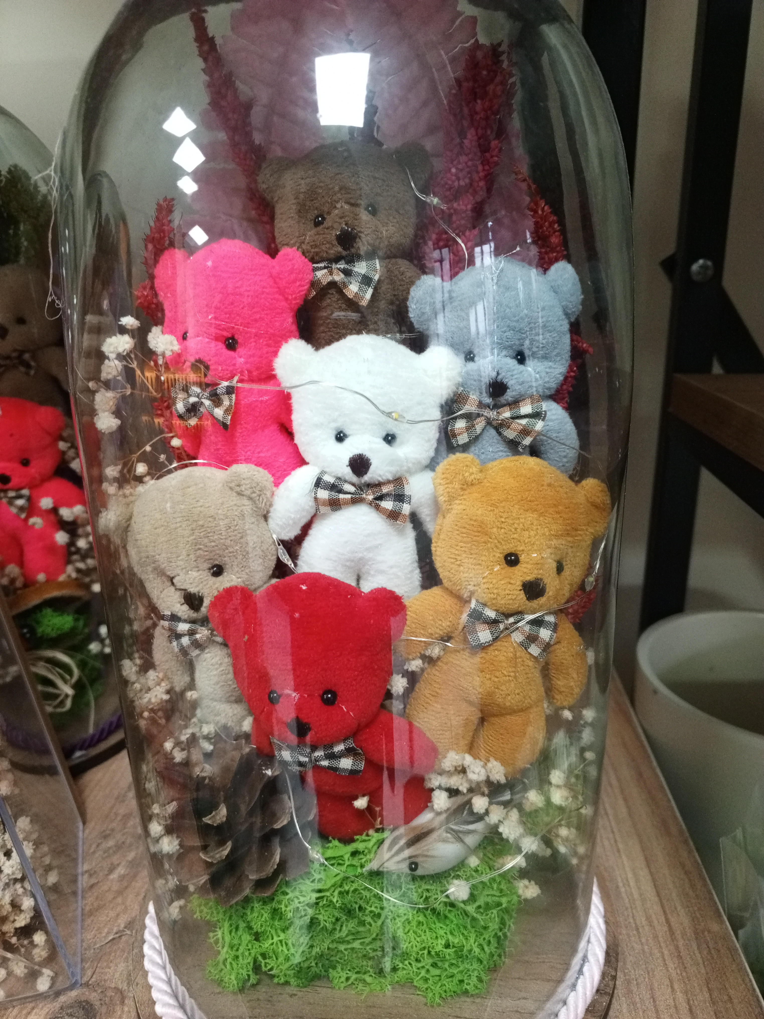 Ters fanusta ayıcıklar